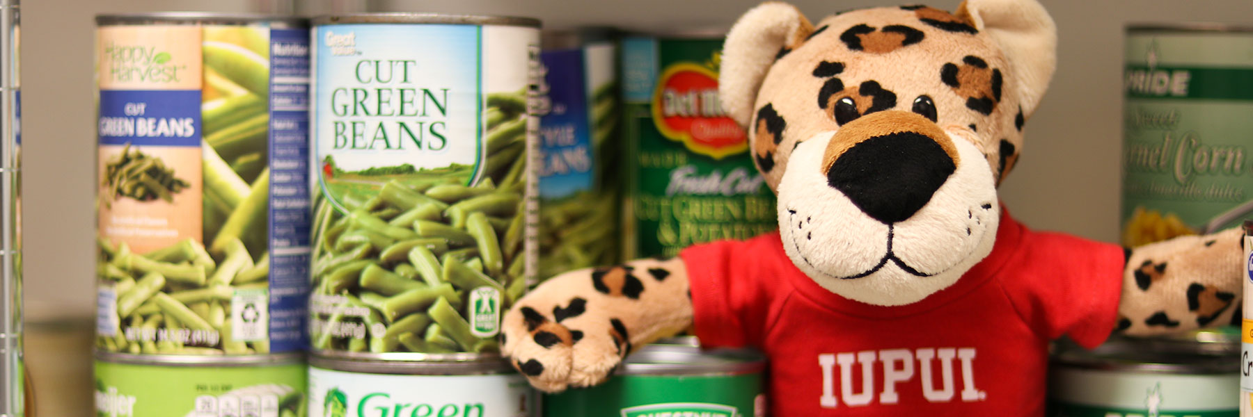 Paws sitting on a shelf in the pantry with some canned goods.